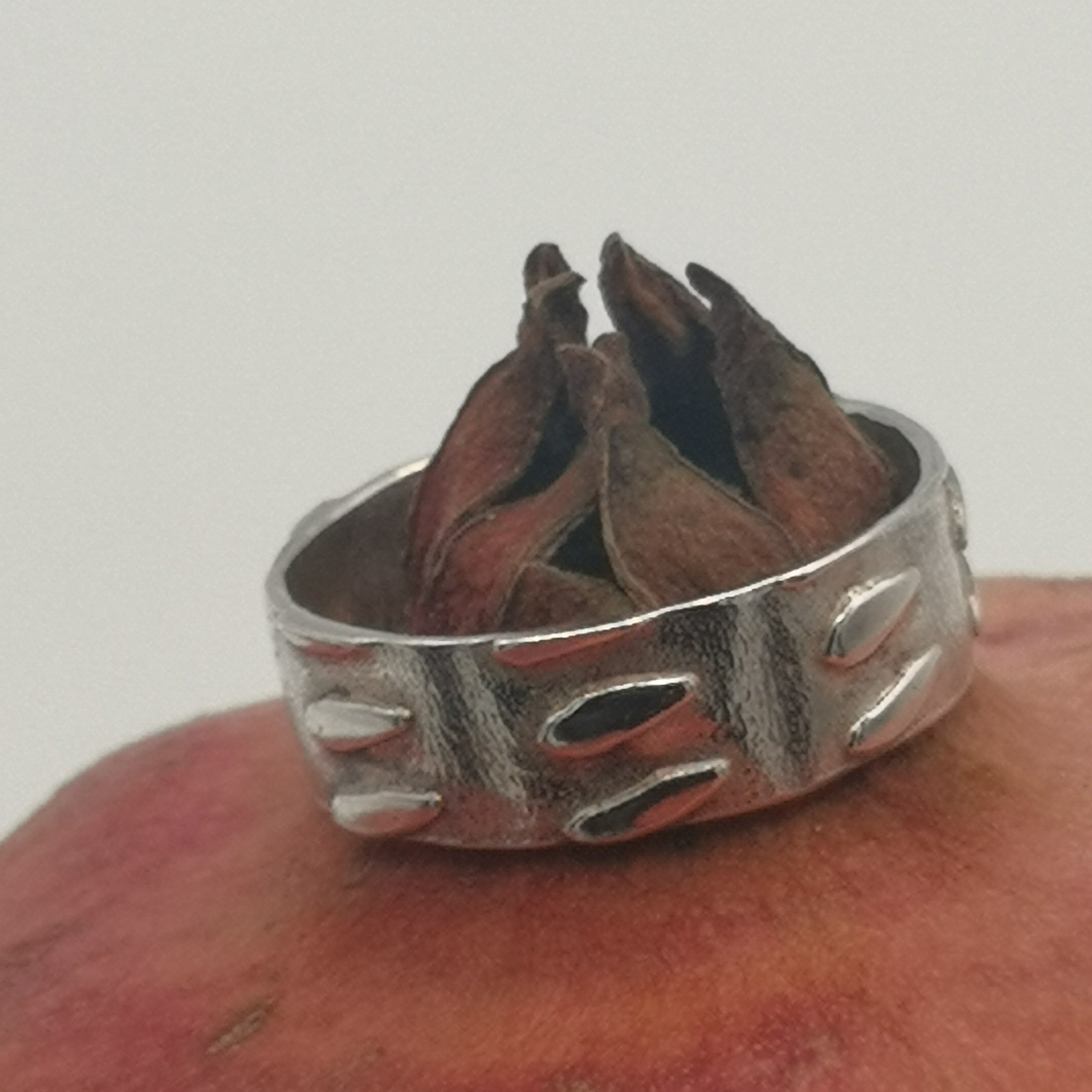 Meteor shower ring